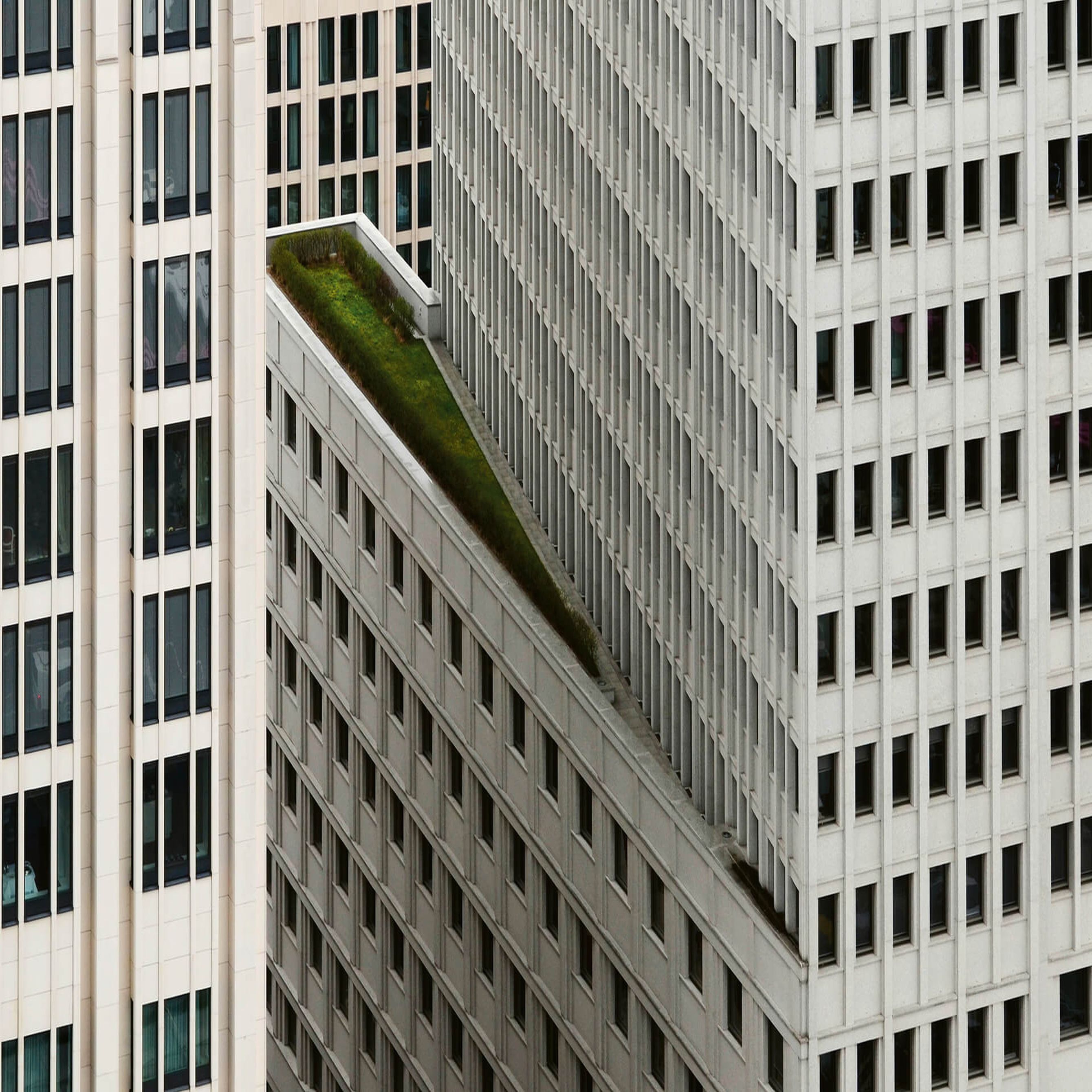 A.S. Creation | Designwalls 2.0 | DD118958 | Fototapete | Vlies | 384 x 260 cm | Schwarz-Weiß | Bunt