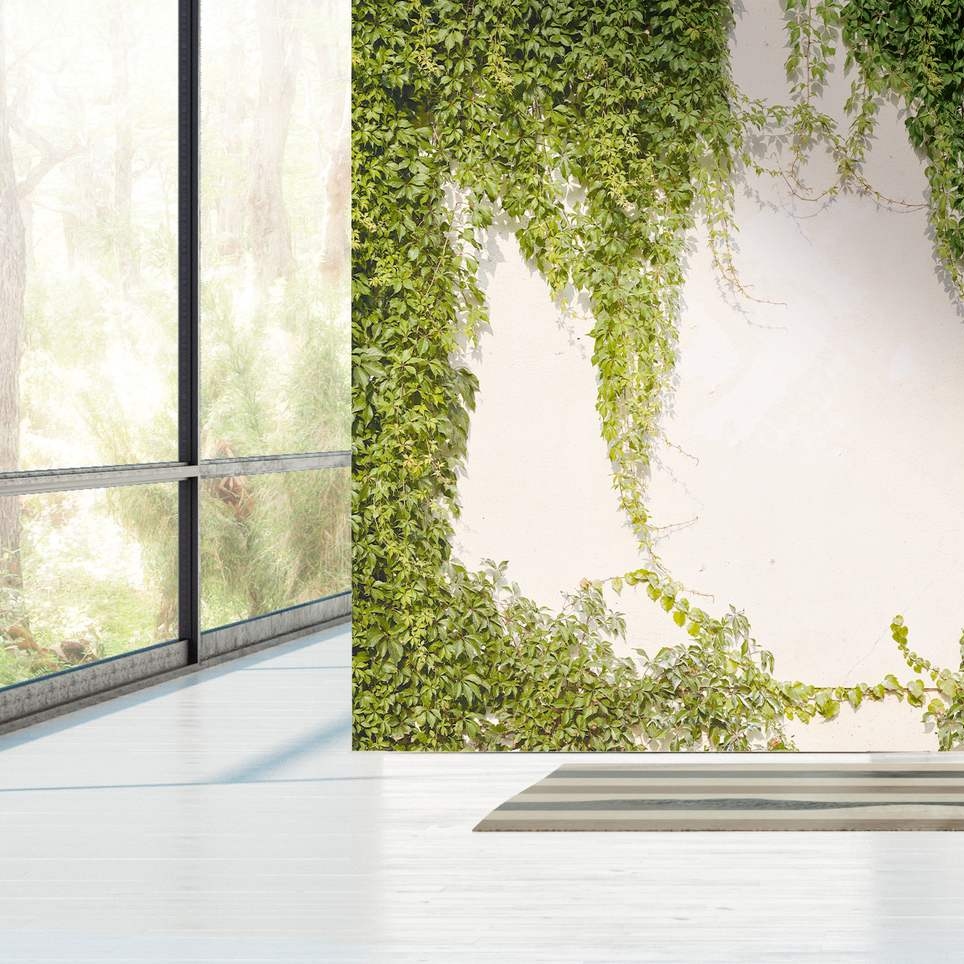 A.S. Creation Fototapete The Wall II 392271 Ein Motiv pro Rolle Botanisch Grün