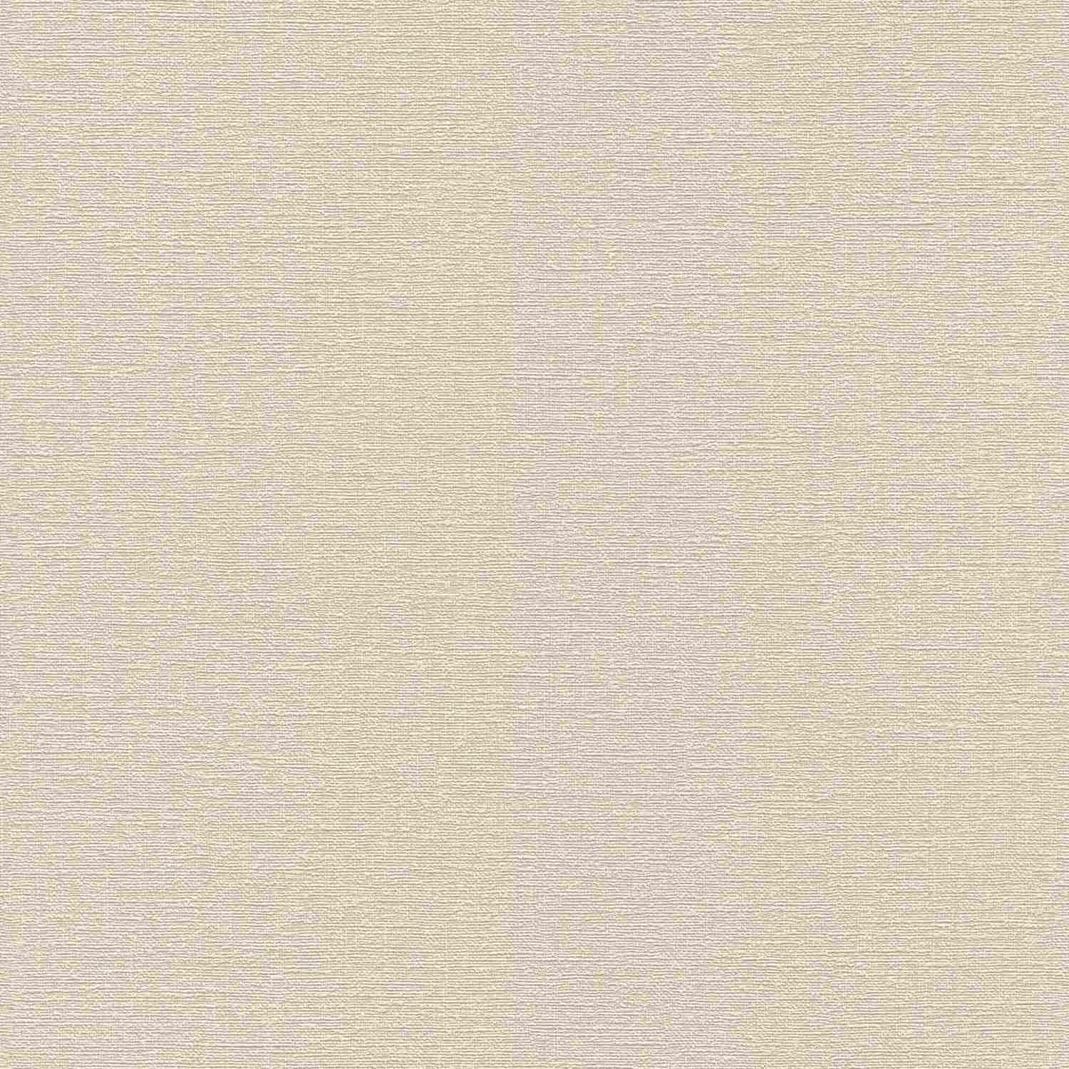 Rasch | #tapetenwechsel II | 804348 | Vliestapete | Einfarbig | Uni | 0.53 x 10.05 m | Beige