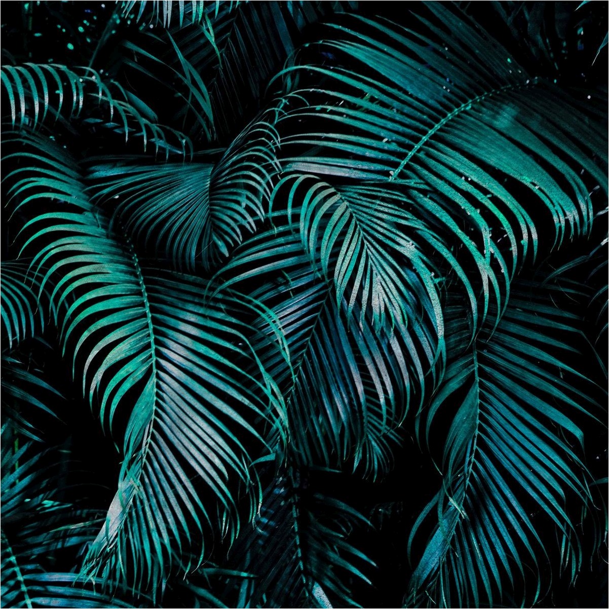 Vlies Fototapete 363111 Blumen Floral Selection Rasch