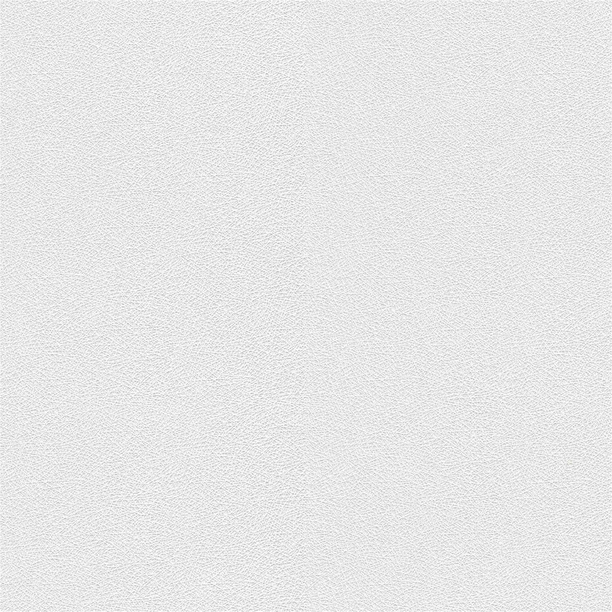 Überstreichbare Vliestapete 178814 Grafik Wallton (2025) Rasch