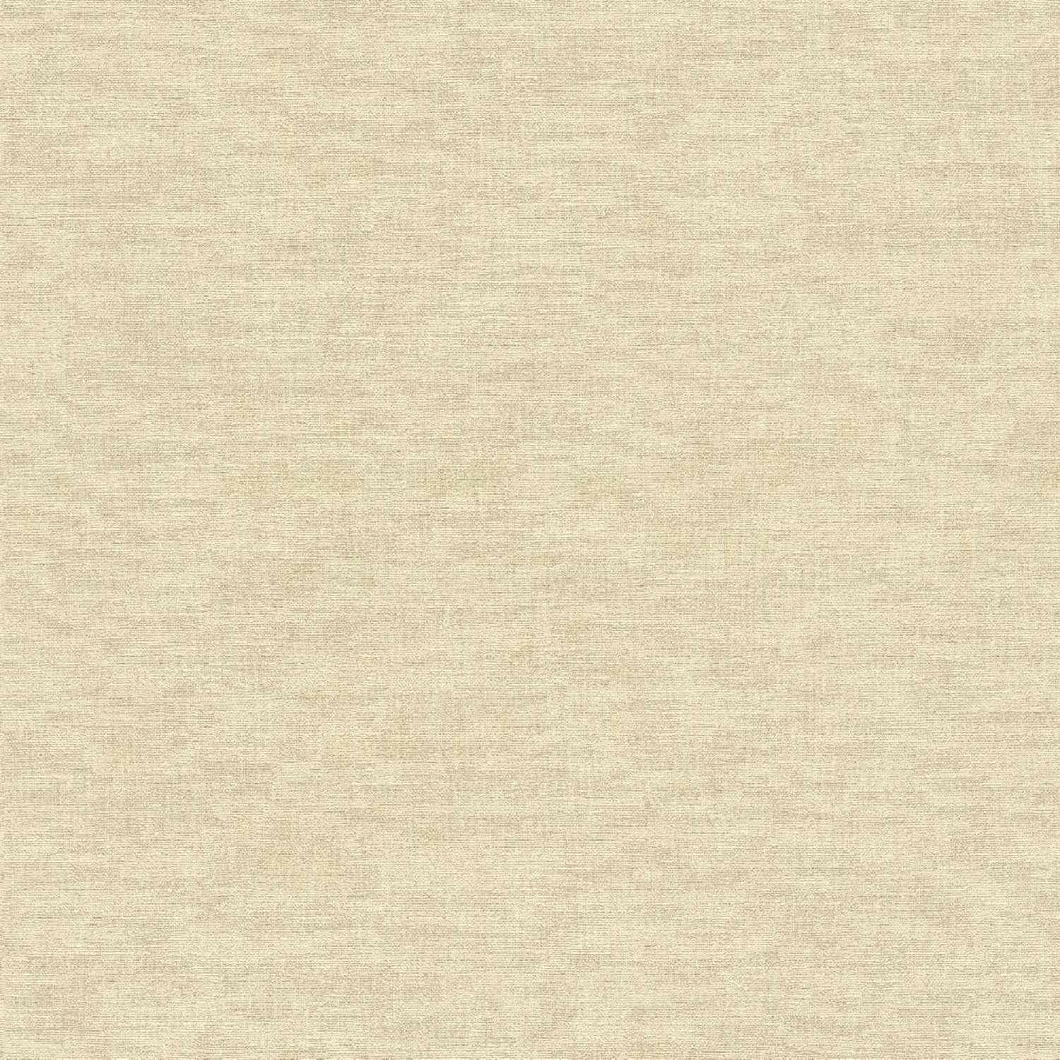 A.S. Creation | Smart Surfaces | 395653 | Vliestapete | Uni | Einfarbig | 0.53 x 10.05 m | Beige