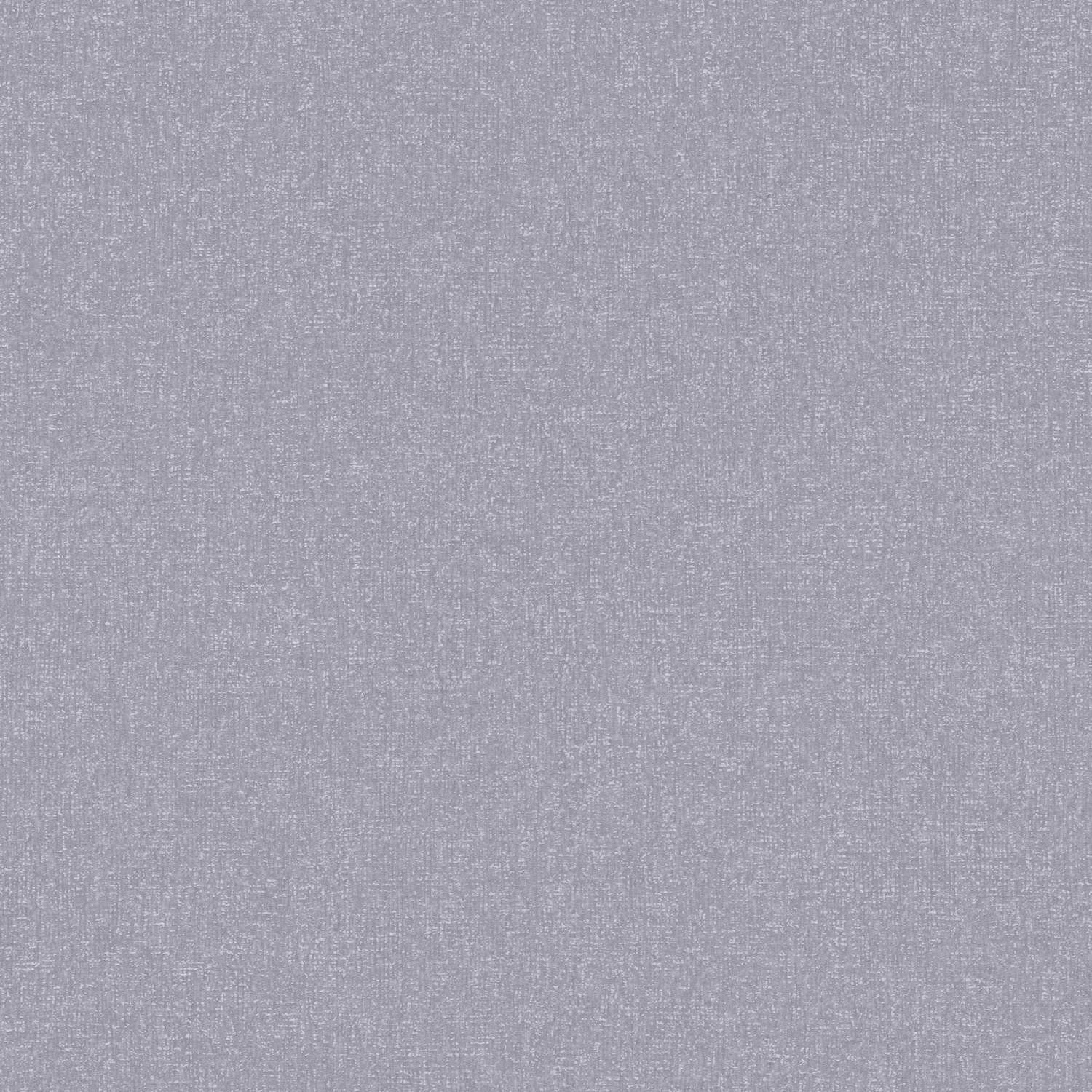 A.S. Creation | Terra | 389258 | Vliestapete | Einfarbig | 10.05 x 0.53 m | Grau