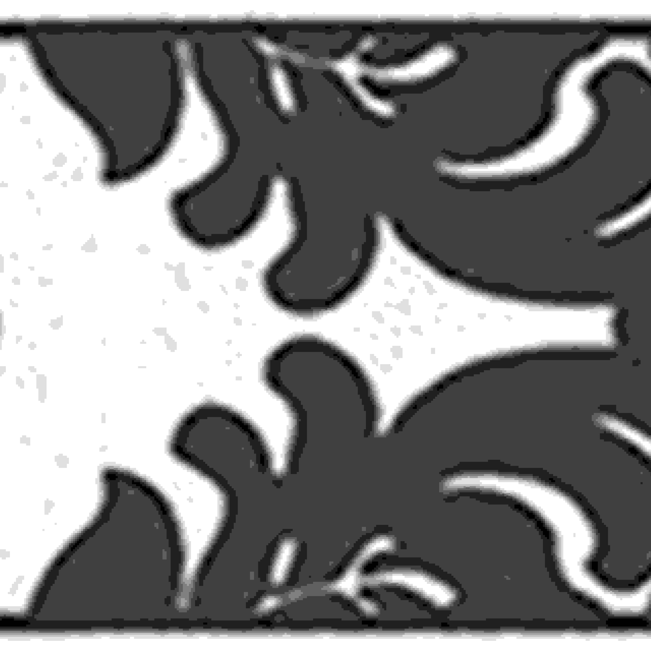 A.S. Creation | Only Borders 9 | 962141 | Vliesbordüre | Borte | 0.05 x 5 m | Schwarz