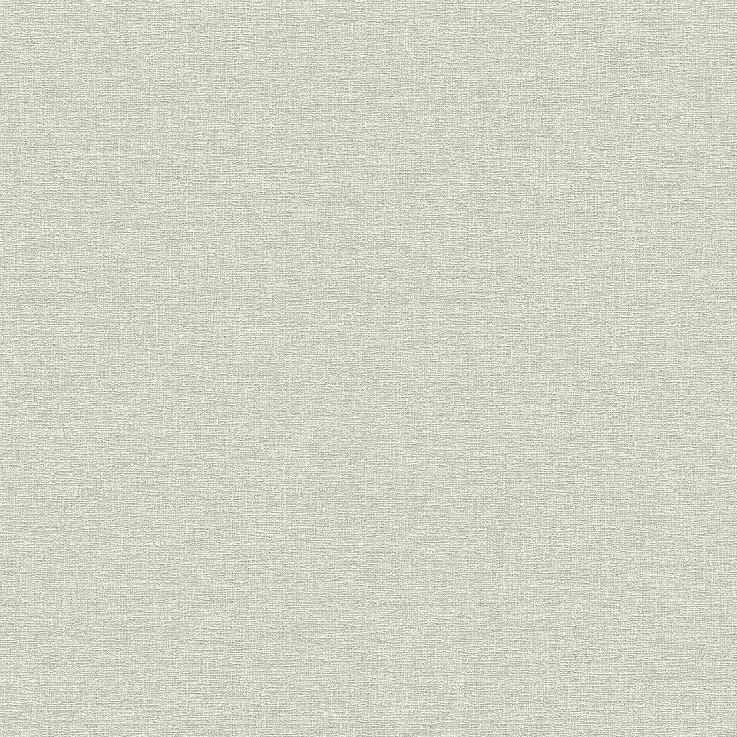 A.S. Creation | Flavour | 367136 | Vliestapete | Einfarbig | Uni | 0.53 x 10.05 m | Grün