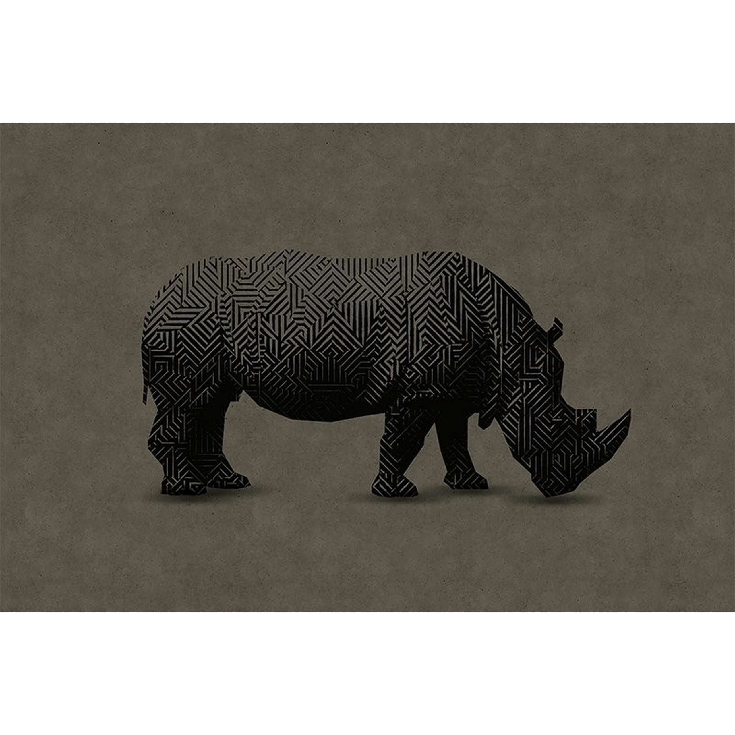 A.S. Creation | Walls by Patel 1 | DD110501 | Fototapete | Vlies | Versch. Größen | Tiere | Grau
