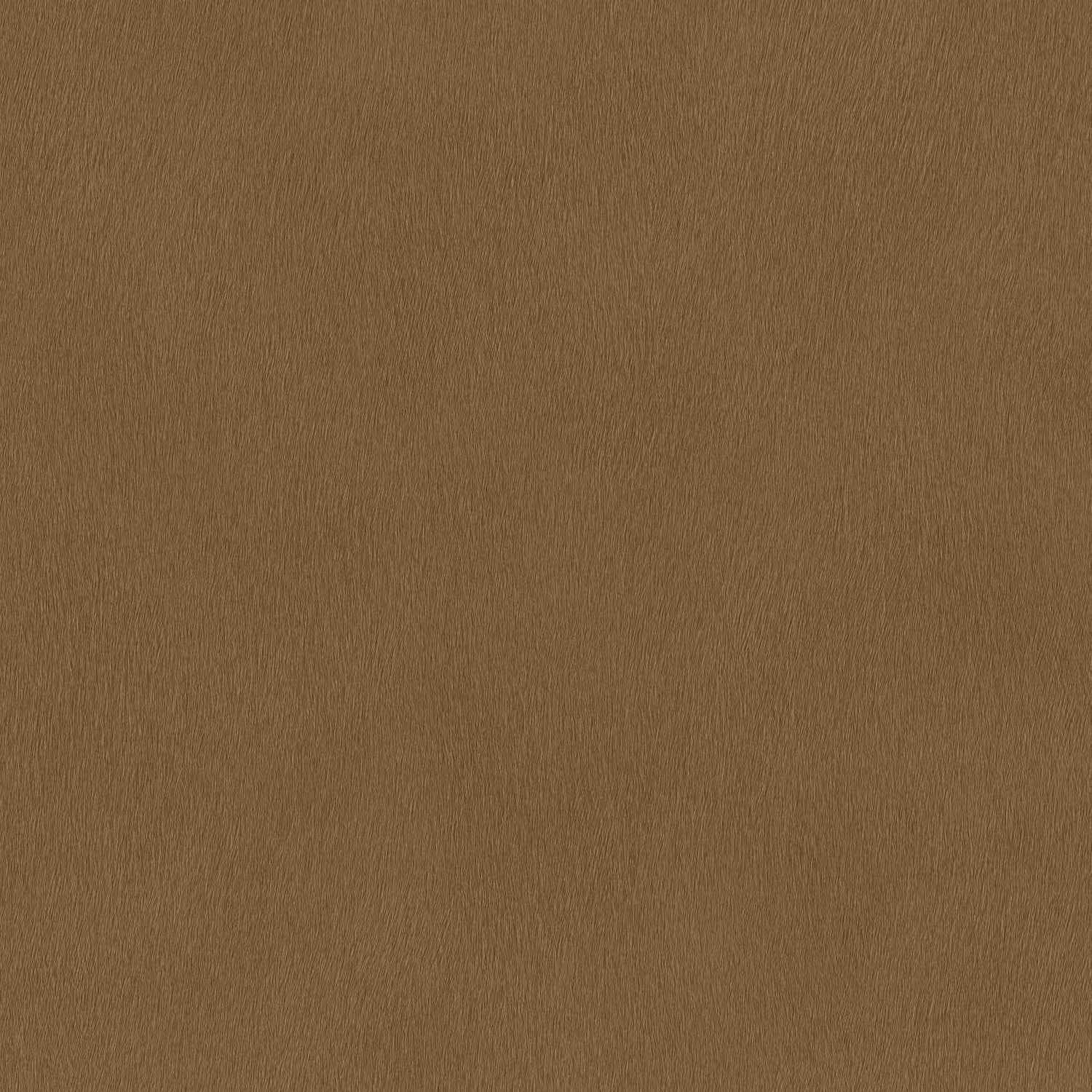 Rasch | African Queen III | 751079 | Vliestapete | Einfarbig | Uni | 0.53 x 10.05 m | Braun