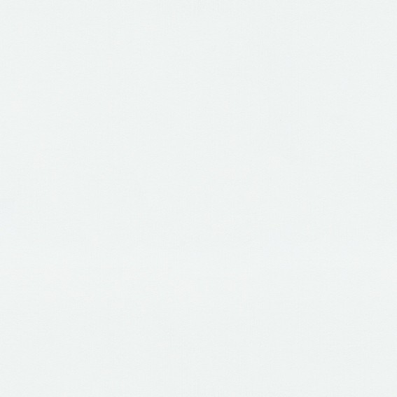 Vliestapete 10004-01 Uni Einfarbig 0.53 x 10.05 m GMK - Fashion For Walls Erismann