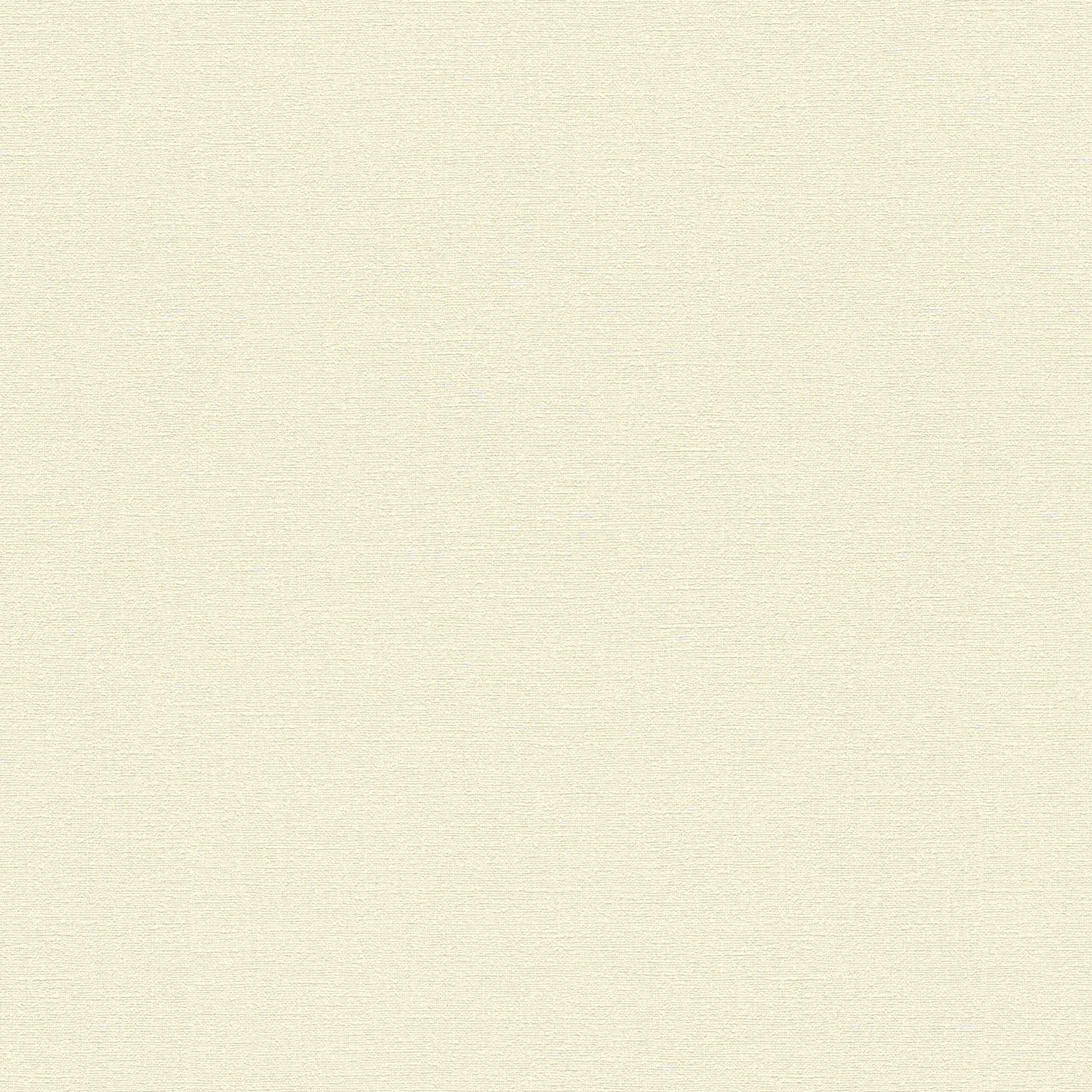 A.S. Creation | Designbook | 336096 | Vliestapete | Einfarbig | Uni | 0.53 x 10.05 m | Creme