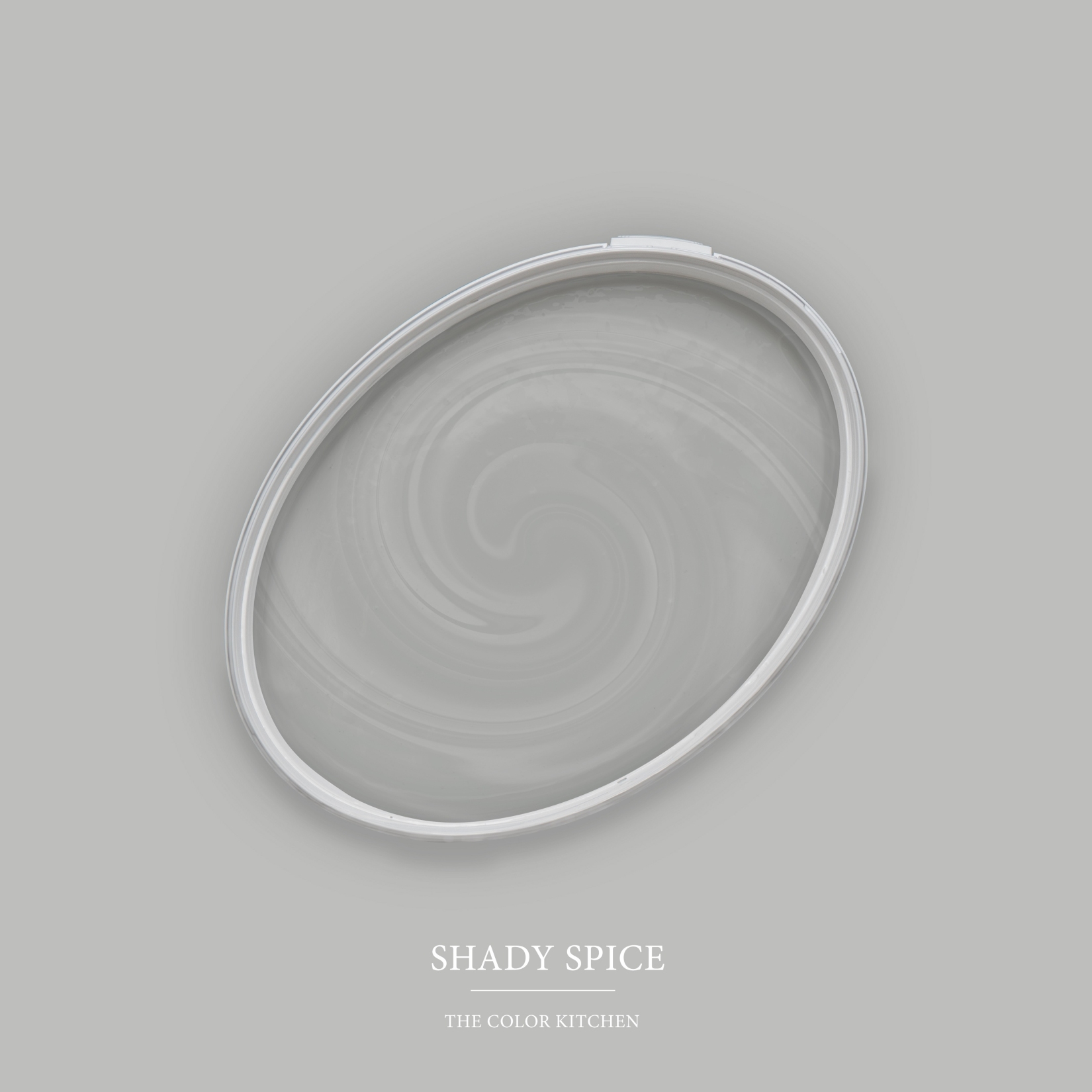 Wandfarbe Grau matt | The Color Kitchen Shady Spice | Exklusive Innendispersion Hohe Farbintensität