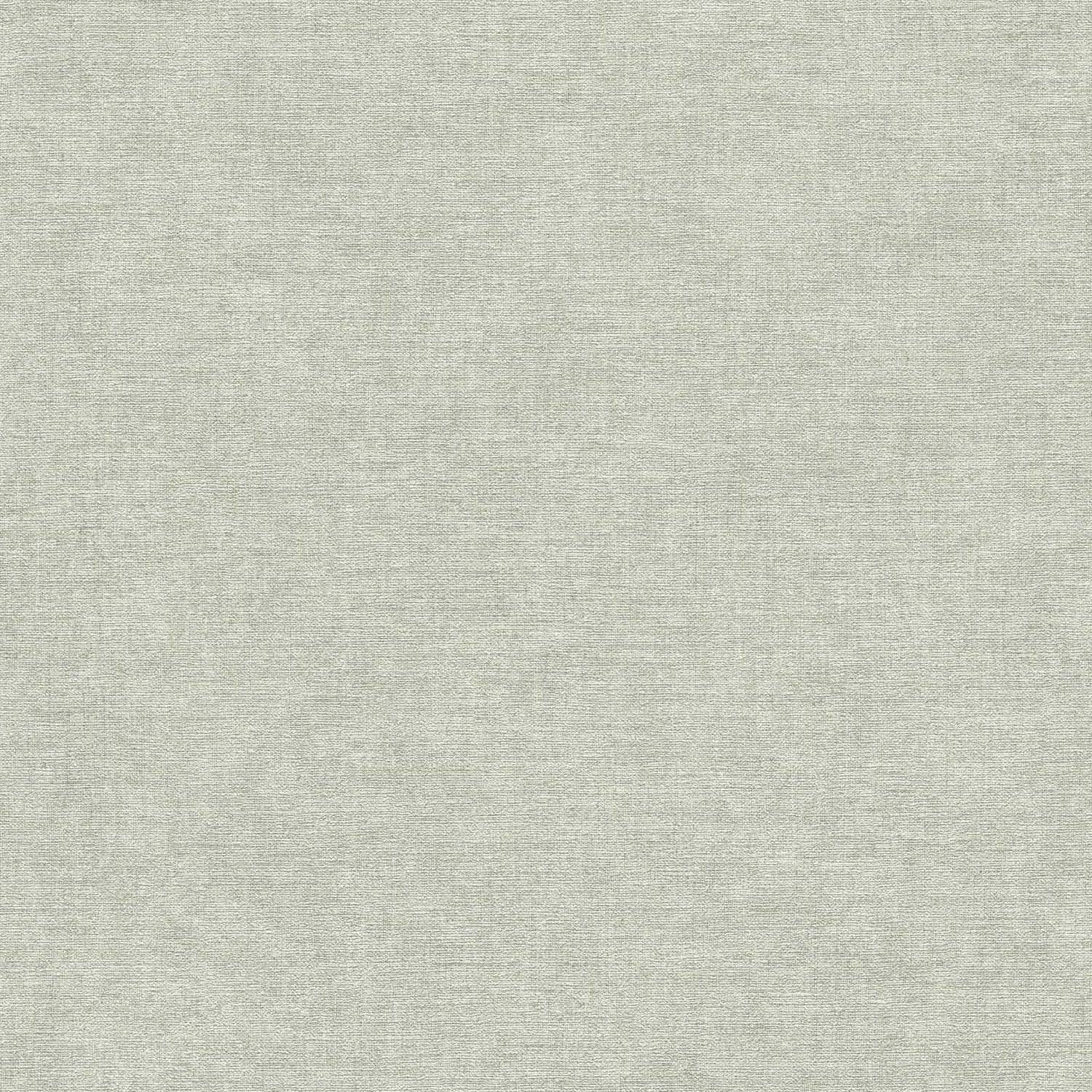 Vliestapete 395658 Grau Grün Uni Einfarbig PintWalls II A.S. Creation