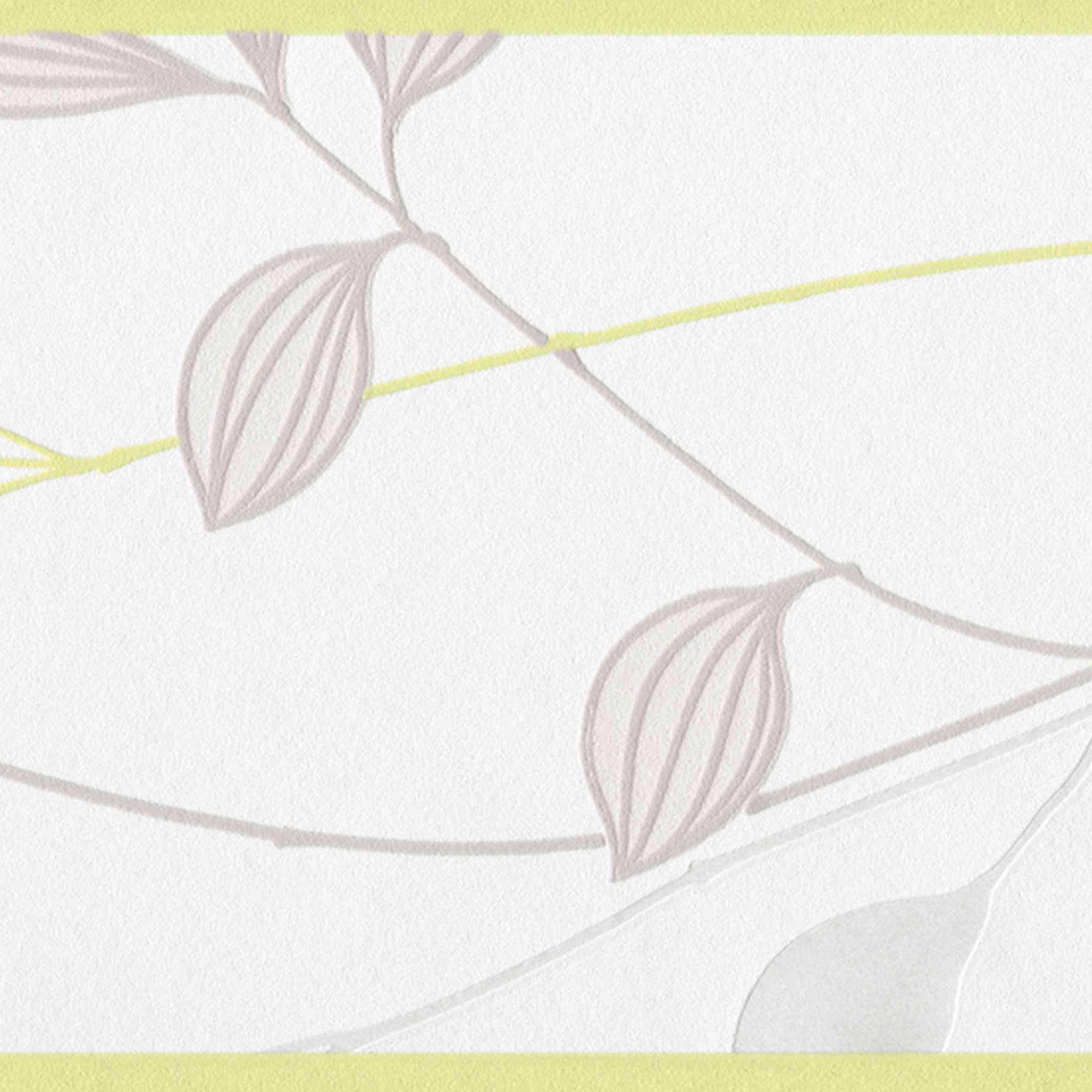 A.S. Creation | Only Borders 9 | 249623 | Vliesbordüre | Borte | 0.17 x 5 m | Creme