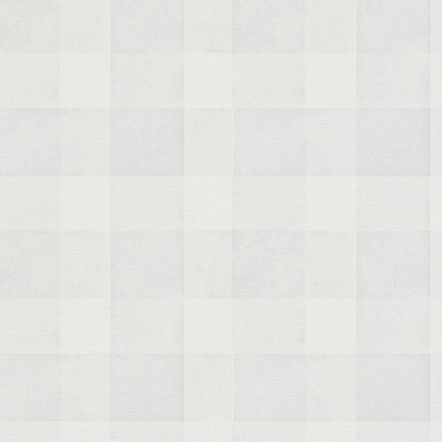 A.S. Creation | Natural Living | 386644 | Vliestapete | Muster & Motive | 10.05 x 0.53 m | Grau