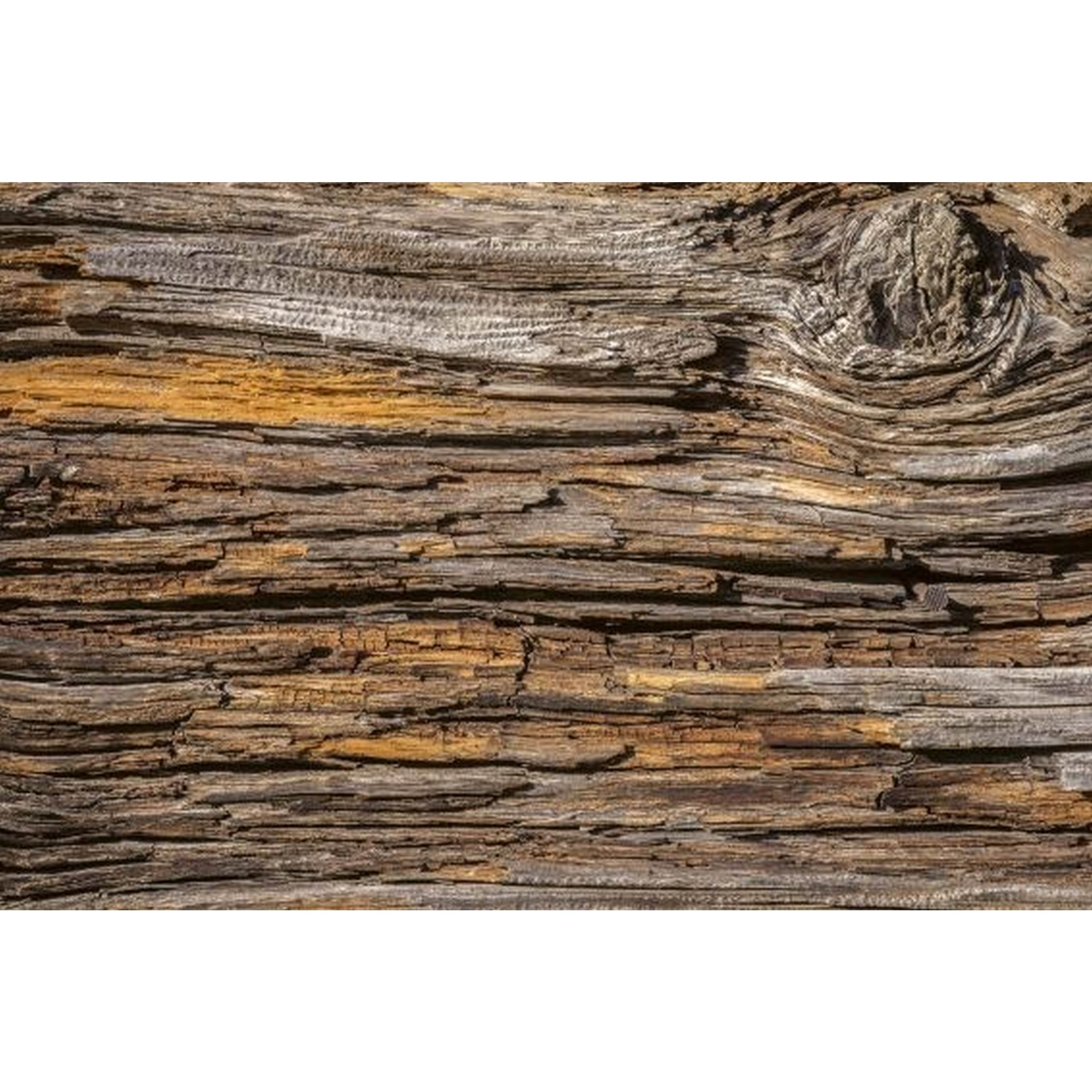 Dimex | Dimex Line | MS-2-0159  | Fototapete | Vlies | Versch. Größen | Holz | Braun
