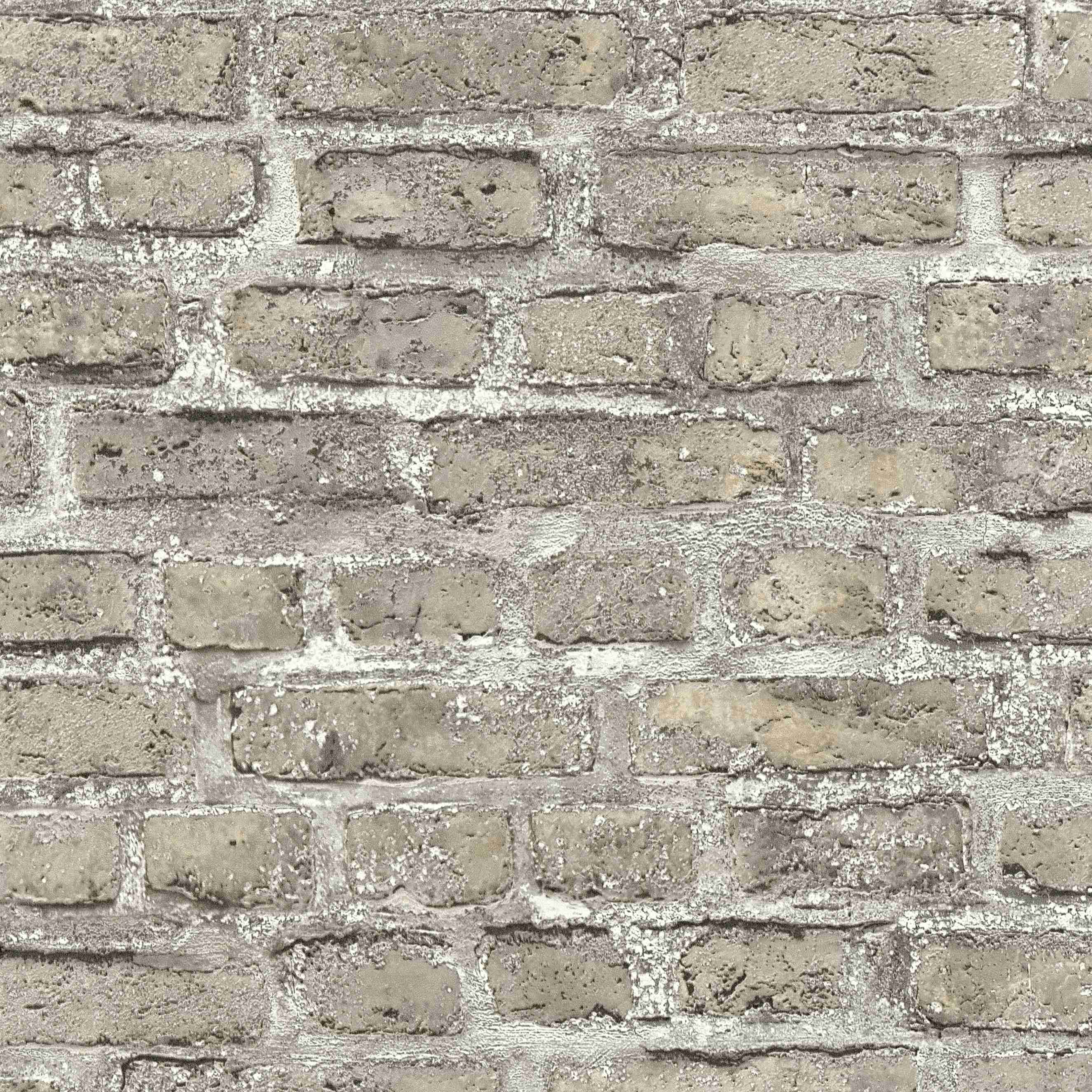 A.S. Creation Elements | 361394 | Vliestapete Steinoptik | 0.53 m x 10.05 m | Grau