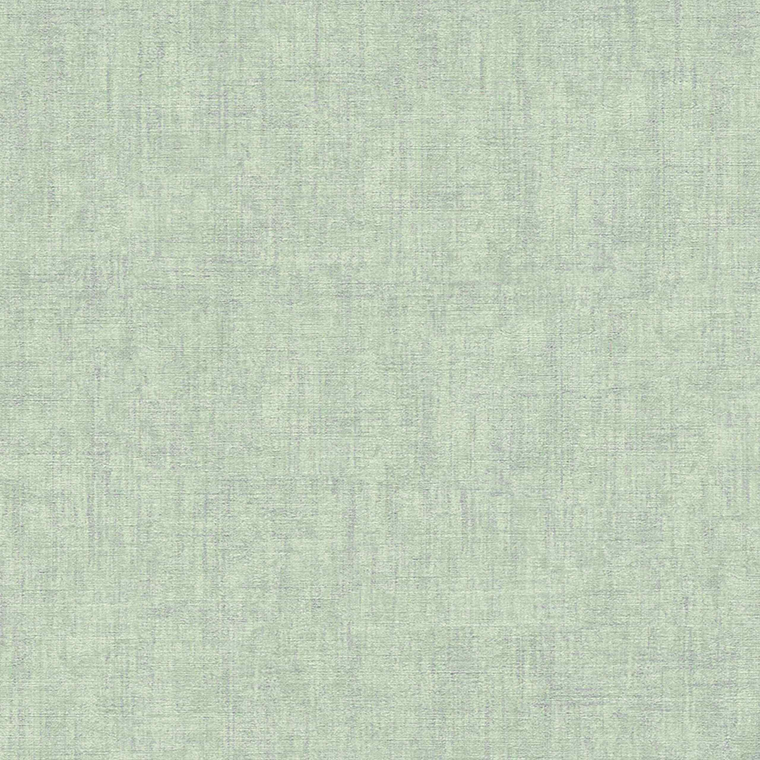 A.S. Creation Borneo | 322619 | Vliestapete Einfarbig | 0.53 m x 10.05 m | Grün