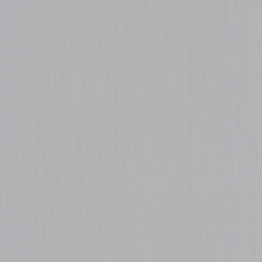 A.S. Creation | Styleguide Colours 2024 | 785572 | Vliestapete | Einfarbig | 10.05 x 0.53 m | Grau