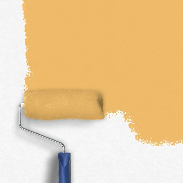 Zero-Lacke Fassadenfarbe C062 | Mittelorange Sienna | Lösungsmittelfrei
Zero-Lacke Fassadenfarbe C062 | Mittelorange Sienna | Lösungsmittelfrei