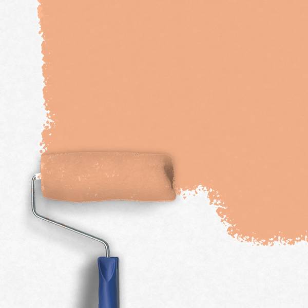 Zero-Lacke Wandfarbe Dispersionsfarbe J096 | Mittelorange Goldregen Orange | Lösungsmittelfrei Zero-Lacke Wandfarbe Dispersionsfarbe J096 | Mittelorange Goldregen Orange | Lösungsmittelfrei