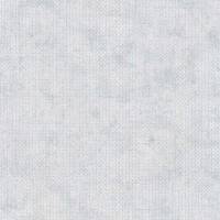 A.S. Creation | The BOS | 388261 | Vliestapete | Einfarbig | Uni | 0.53 x 10.05 m | Grau