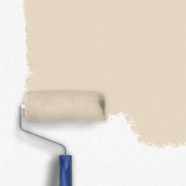 Zero-Lacke Wandfarbe Dispersionsfarbe G113 | Hellbraun Birch | Lösungsmittelfrei Zero-Lacke Wandfarbe Dispersionsfarbe G113 | Hellbraun Birch | Lösungsmittelfrei