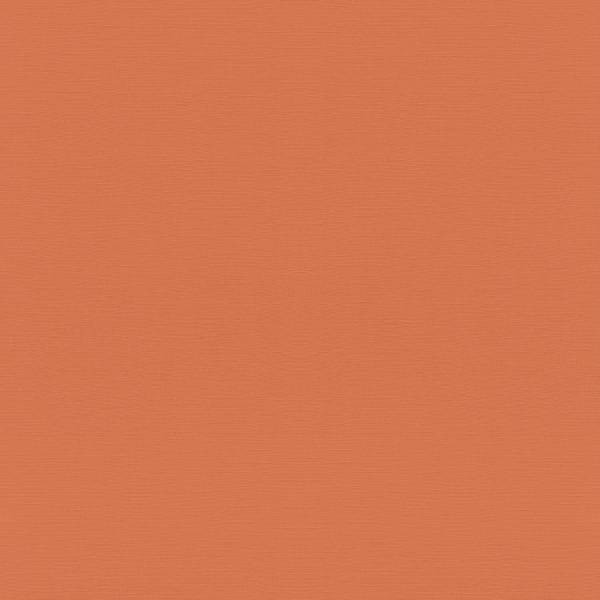 Rasch | Tropical House | 687569 | Vliestapete | Einfarbig | Uni | 0.53 x 10.05 m | Orange Rasch | Tropical House | 687569 | Vliestapete | Einfarbig | Uni | 0.53 x 10.05 m | Orange