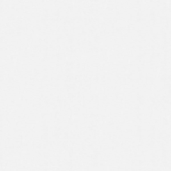 A.S. Creation | Meistervlies | 306814 | Vliestapete Überstreichbar | Putz | 1.06 x 25 m | Weiß A.S. Creation | Meistervlies | 306814 | Vliestapete Überstreichbar | Putz | 1.06 x 25 m | Weiß