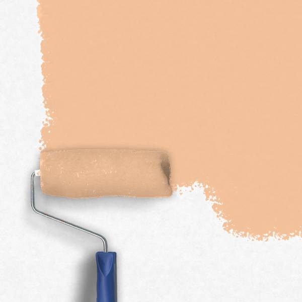 Zero-Lacke Innenfarbe Dispersionsfarbe J090 | Mittelorange Genua Orange | Lösungsmittelfrei Zero-Lacke Innenfarbe Dispersionsfarbe J090 | Mittelorange Genua Orange | Lösungsmittelfrei