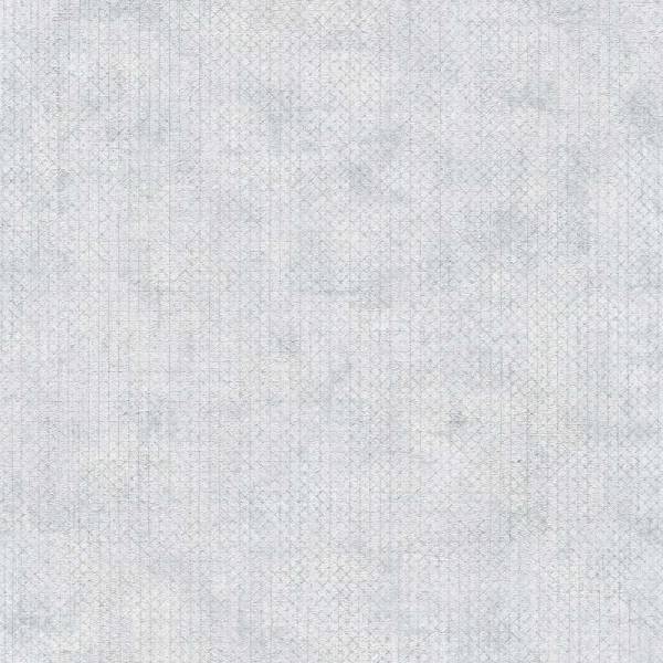 A.S. Creation | The BOS | 388261 | Vliestapete | Einfarbig | Uni | 0.53 x 10.05 m | Grau A.S. Creation | The BOS | 388261 | Vliestapete | Einfarbig | Uni | 0.53 x 10.05 m | Grau