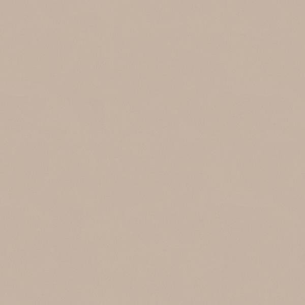 A.S. Creation | AP Longlife Colours | 307256 | Vliestapete | Einfarbig | 1.6 x 21 m | Beige A.S. Creation | AP Longlife Colours | 307256 | Vliestapete | Einfarbig | 1.6 x 21 m | Beige