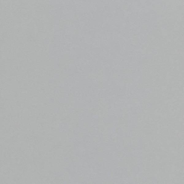 Erismann | Instawalls | 634210 | Vliestapete | Einfarbig | Uni | 0.53 x 10.05 m | Grau Erismann | Instawalls | 634210 | Vliestapete | Einfarbig | Uni | 0.53 x 10.05 m | Grau