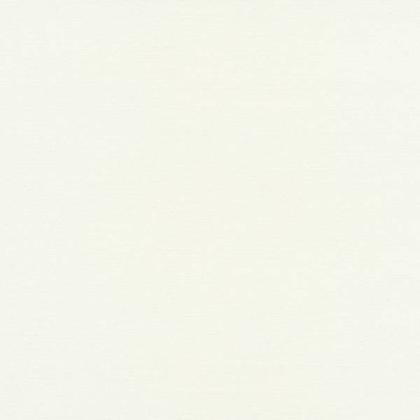 Erismann | Acquabella | 6353-01 | Vliestapete | Einfarbig | Uni | 0.53 x 10.05 m | Beige Erismann | Acquabella | 6353-01 | Vliestapete | Einfarbig | Uni | 0.53 x 10.05 m | Beige