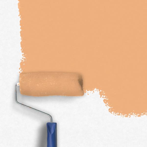 Zero-Lacke Wandfarbe Dispersionsfarbe N089 | Mittelorange Petunie Orange | Lösungsmittelfrei Zero-Lacke Wandfarbe Dispersionsfarbe N089 | Mittelorange Petunie Orange | Lösungsmittelfrei