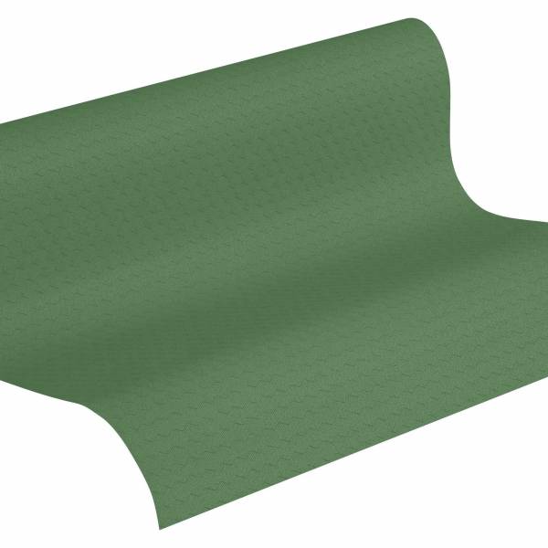 A.S. Creation | Greenery | 372111 | Vliestapete | Einfarbig | Uni | 0.53 x 10.05 m | Grün A.S. Creation | Greenery | 372111 | Vliestapete | Einfarbig | Uni | 0.53 x 10.05 m | Grün