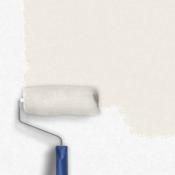 Zero-Lacke Innenfarbe Dispersionsfarbe F120 | Cremefarbend Asdhoo | Lösungsmittelfrei Zero-Lacke Innenfarbe Dispersionsfarbe F120 | Cremefarbend Asdhoo | Lösungsmittelfrei