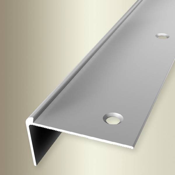 PROVISTON | Treppenkantenprofil | 48 x 2.5 x 2500 mm | Aluminium eloxiert | Gebohrt | Hochwertig PROVISTON | Treppenkantenprofil | 48 x 2.5 x 2500 mm | Aluminium eloxiert | Gebohrt | Hochwertig