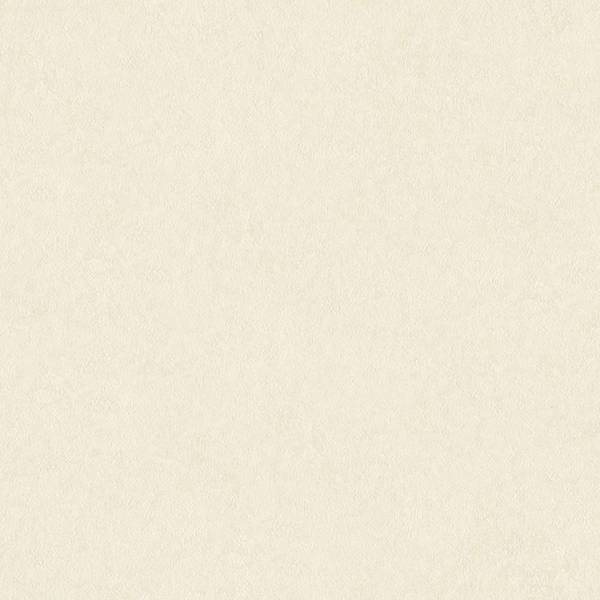 A.S. Creation | AP Longlife Colours | 301401 | Vliestapete | Einfarbig | 1.6 x 21 m | Creme A.S. Creation | AP Longlife Colours | 301401 | Vliestapete | Einfarbig | 1.6 x 21 m | Creme