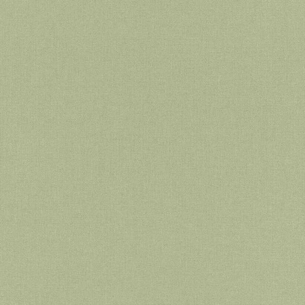 Rasch | Selection | 423938 | Vliestapete | Einfarbig | Uni | 0.53 x 10.05 m | Grün Rasch | Selection | 423938 | Vliestapete | Einfarbig | Uni | 0.53 x 10.05 m | Grün