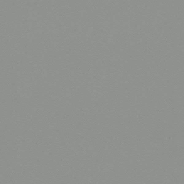 A.S. Creation | Styleguide Natürlich | 309143 | Vliestapete | Uni | 0.53 x 10.05 m | Grau A.S. Creation | Styleguide Natürlich | 309143 | Vliestapete | Uni | 0.53 x 10.05 m | Grau