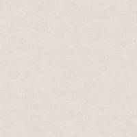 A.S. Creation | Desert Lodge | 367217 | Vliestapete | Einfarbig | Uni | 0.53 x 10.05 m | Beige