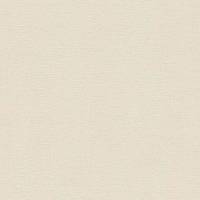 A.S. Creation | Desert Lodge | 324743 | Vliestapete | Einfarbig | Uni | 0.53 x 10.05 m | Beige