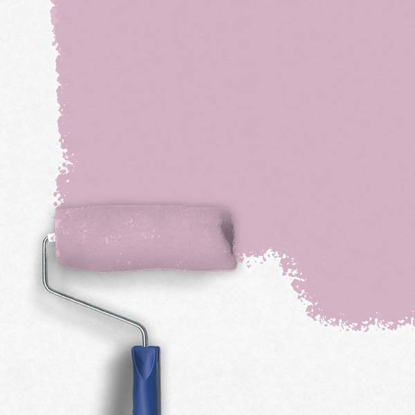 Zero-Lacke Innenfarbe Dispersionsfarbe H143 | Hellviolett Heavens Idea | Lösungsmittelfrei Zero-Lacke Innenfarbe Dispersionsfarbe H143 | Hellviolett Heavens Idea | Lösungsmittelfrei