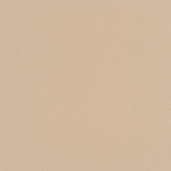 Erismann | Instawalls | 634232 | Vliestapete | Einfarbig | Uni | 0.53 x 10.05 m | Braun Erismann | Instawalls | 634232 | Vliestapete | Einfarbig | Uni | 0.53 x 10.05 m | Braun