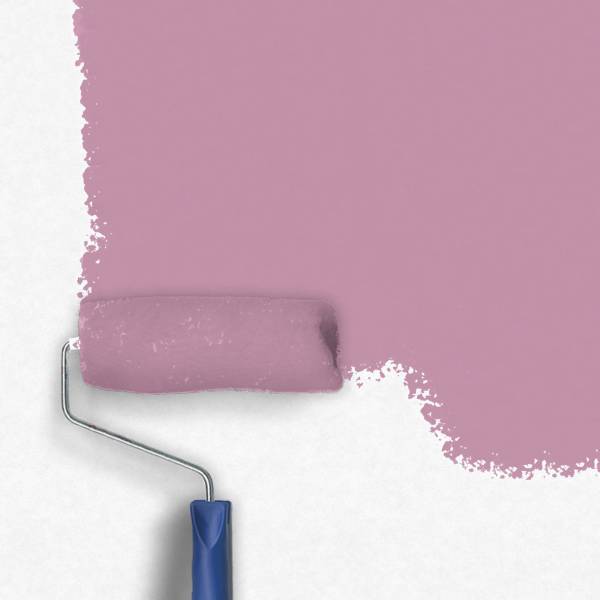Zero-Lacke Innenfarbe Dispersionsfarbe J143 | Mittelviolett Kanuma | Lösungsmittelfrei Zero-Lacke Innenfarbe Dispersionsfarbe J143 | Mittelviolett Kanuma | Lösungsmittelfrei