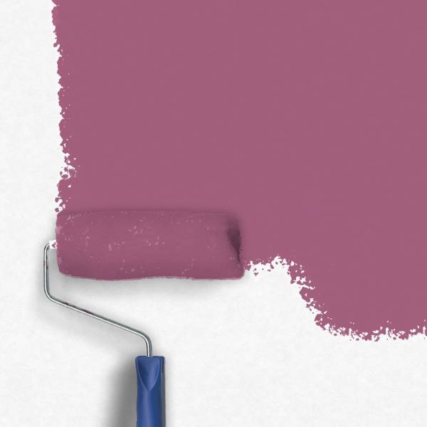 Zero-Lacke Wandfarbe Dispersionsfarbe K143 | Dunkelviolett Mädchentraum | Lösungsmittelfrei Zero-Lacke Wandfarbe Dispersionsfarbe K143 | Dunkelviolett Mädchentraum | Lösungsmittelfrei
