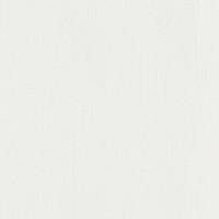 A.S. Creation | Spot 2 | 937902 | Vliestapete | Einfarbig | Uni | 0.53 x 10.05 m | Beige