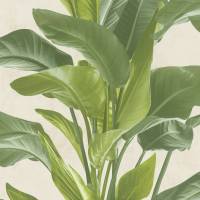 A.S. Creation | Metropolitan Stories 2 | 378623 | Vliestapete | Natur | 0.53 x 10.05 m | Creme