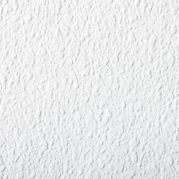 Rasch | Wallton 2025 | 127607 | Vliestapete | Einfarbig | Uni | 0.53 x 10.05 m | Weiß Rasch | Wallton 2025 | 127607 | Vliestapete | Einfarbig | Uni | 0.53 x 10.05 m | Weiß