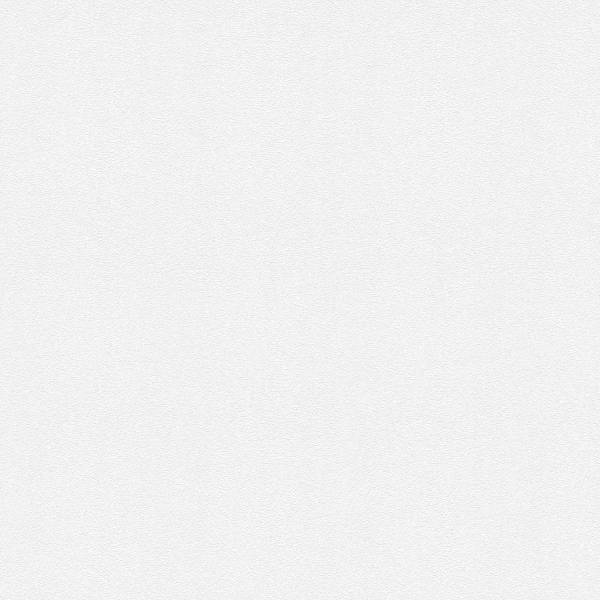 A.S. Creation | Meistervlies | 245915 | Vliestapete Überstreichbar | Putz | 1.06 x 25 m | Weiß A.S. Creation | Meistervlies | 245915 | Vliestapete Überstreichbar | Putz | 1.06 x 25 m | Weiß