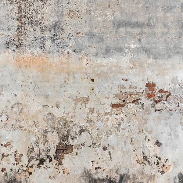 A.S. Creation | Designwalls | DD118764 | Fototapete | Vlies | 350 x 255 cm | Stein & Beton | Grau A.S. Creation | Designwalls | DD118764 | Fototapete | Vlies | 350 x 255 cm | Stein & Beton | Grau